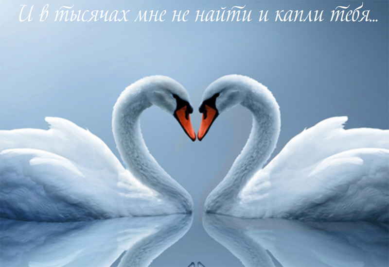 открытки любимым с любовью. я тебя люблю. i love you. люблю больше жизни