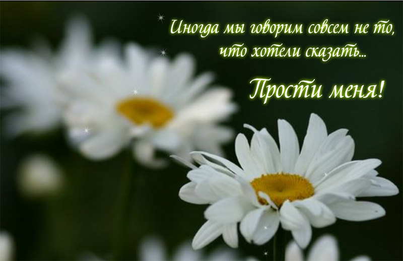 Прости с цветами картинки